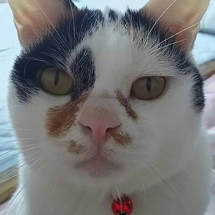 D16d9cf6 bba0 4425 894c e2859358a3ab