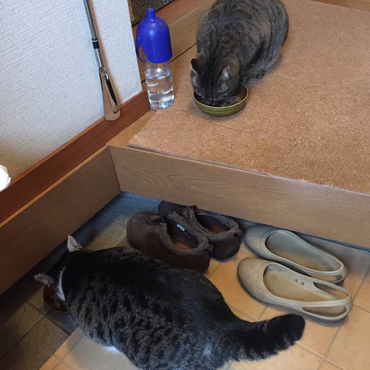 D16de4f6 3ab8 4df2 ae54 e1b4096ce28f