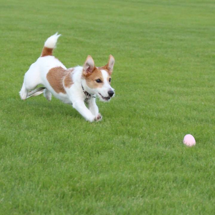 D16e1c44 32f6 47ba a32a ab8e0cc66f18