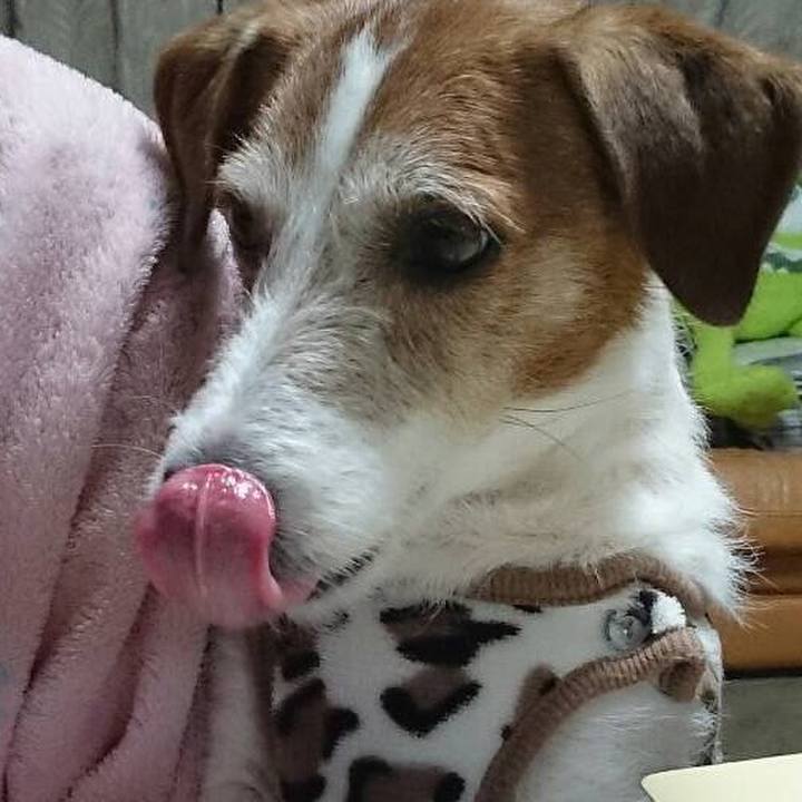 D16e8535 bce1 4173 9367 8e1fed4efcab