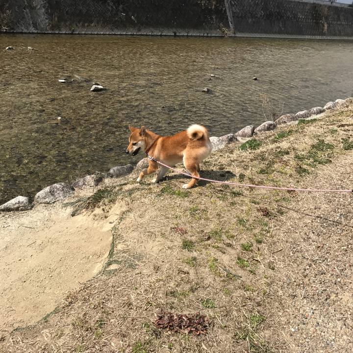 D16e8a60 e703 48f6 9e6c 3dddcb98e009