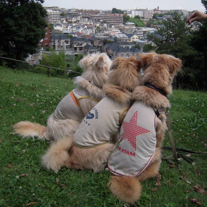 D16f47fa 86cb 413d 9b7f 7d8cf79343b3