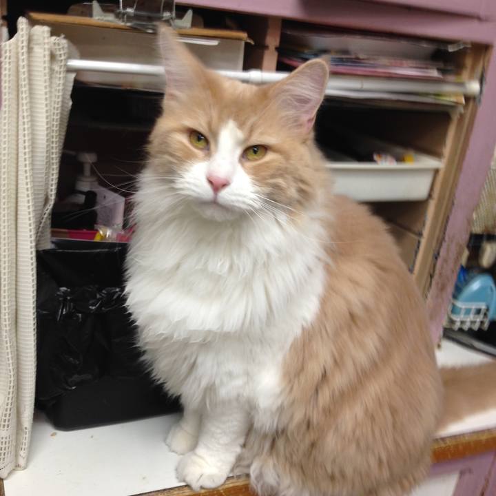 D16f7548 28a3 4afe a5c6 3911fe3875fd