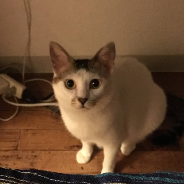 D16fa9a9 4169 4f42 9193 d7b7291e3e72