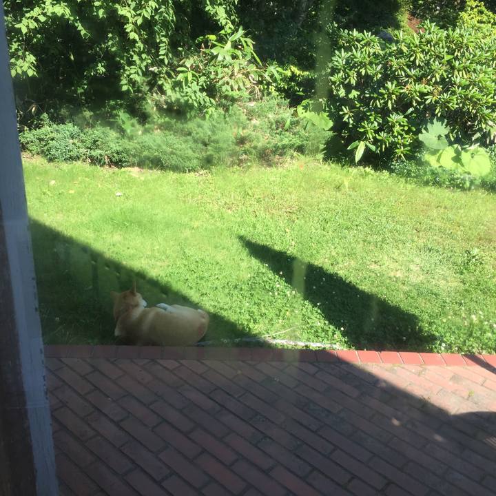 D16ff560 5cd7 492f b90b f3bf6a03146d