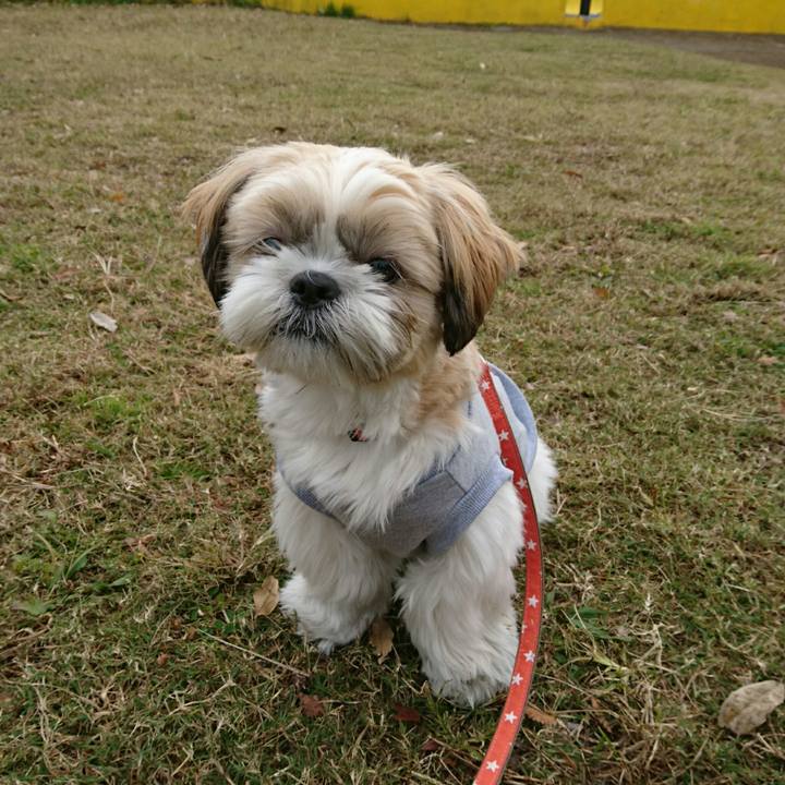 D170615b 7c0d 4ae7 aa97 51b50aff1c82