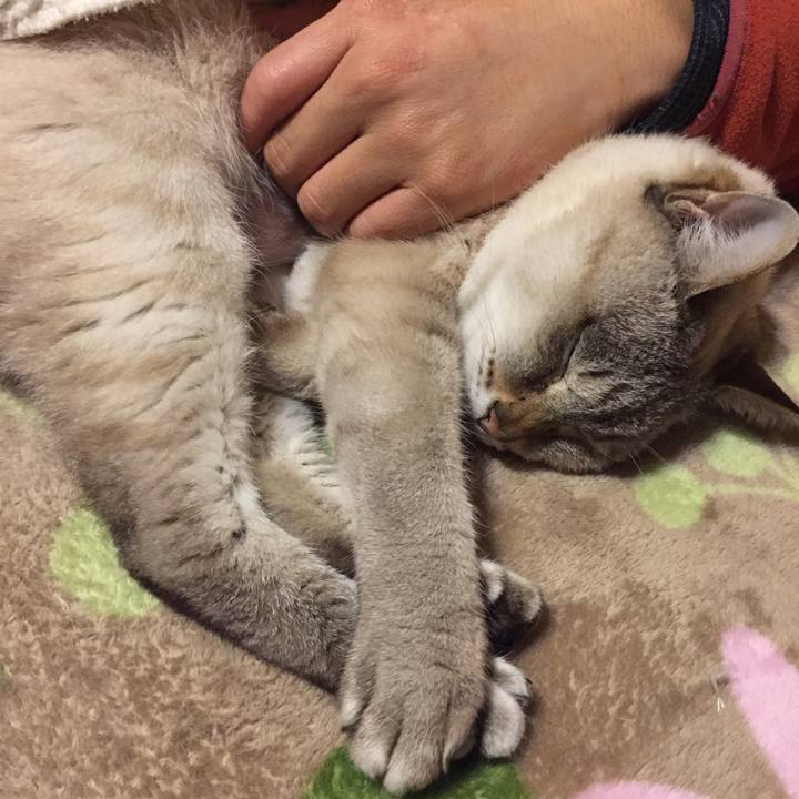 D170baff c969 45e0 a068 28d80f248134