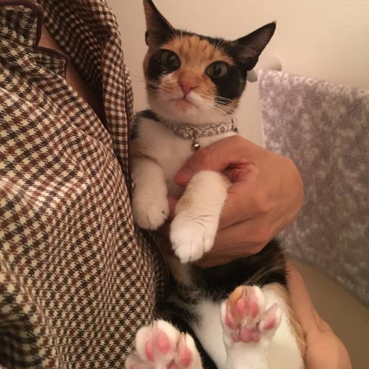 D170e147 12c9 4fe1 b593 3a608c5269e9