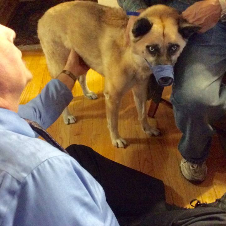 D1713a02 e79b 4a99 955d e9ed4cafb3fe