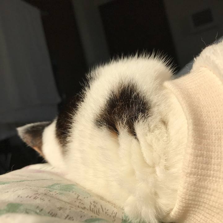 D1718b7b 2279 4917 922d bff8f5eb5470