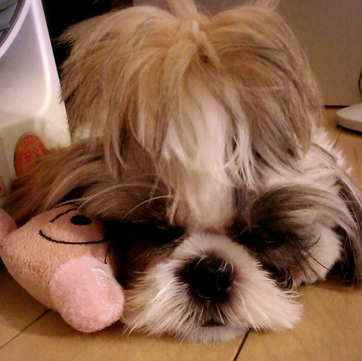 D171b18e b379 4d9c b99b a0697314111a