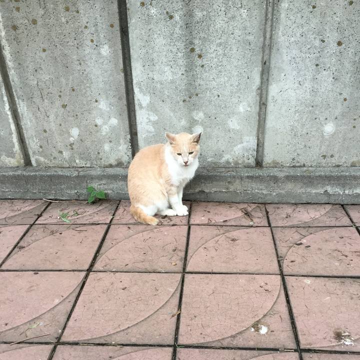 D17217af 685e 4435 adb2 91bde44a7cda