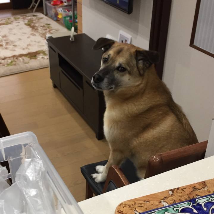 D1726c93 f7b8 408b ba6e 78623171598b