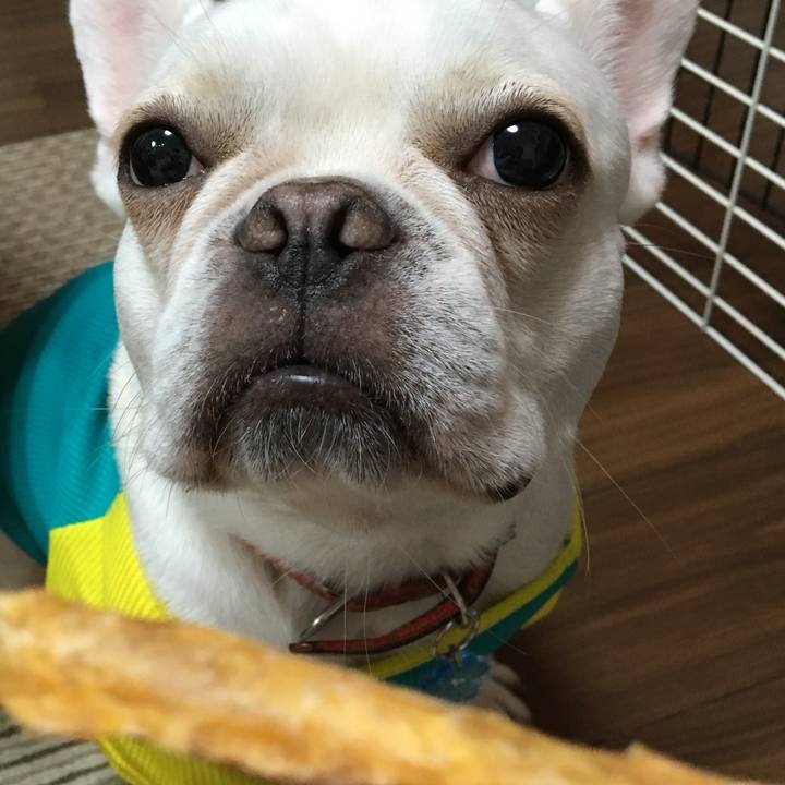 D174abb7 da9e 4767 9c94 edc4284236b2