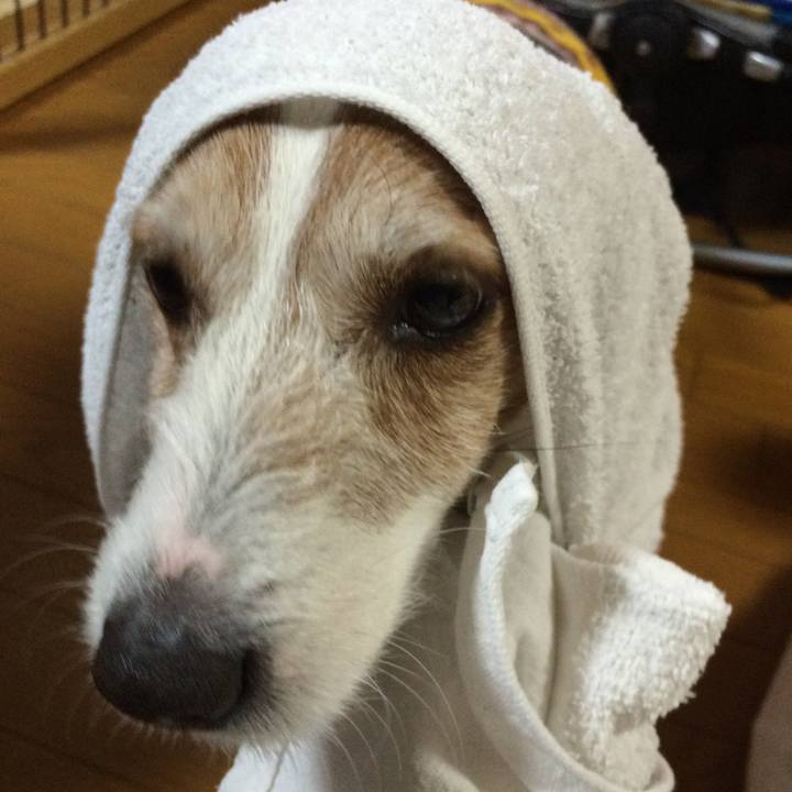 D175afb5 01db 4d08 be56 c07b8cb6a503