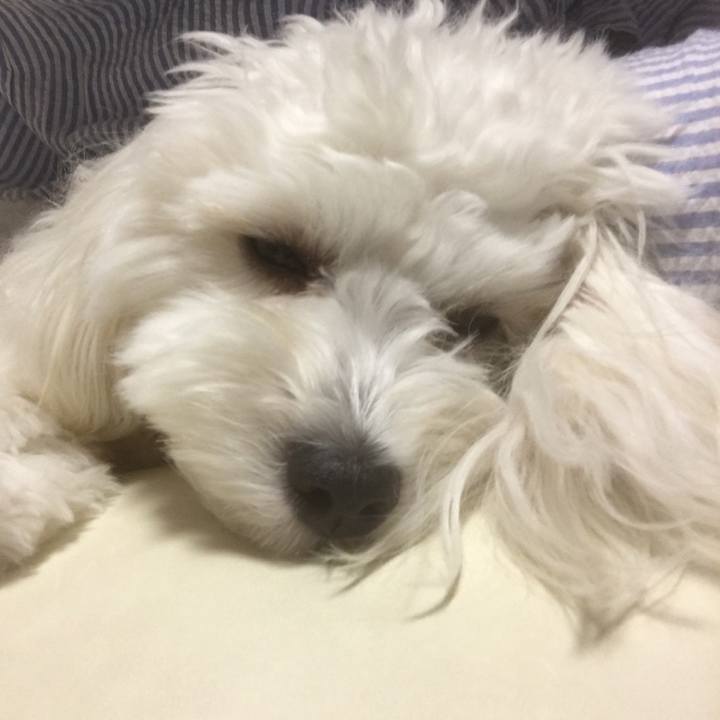 D175bd5c e986 4bdf 9202 f2d1cd04f01c