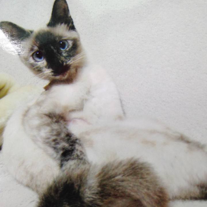 D175da34 ba94 44b3 aa15 6c4f7efd7e31