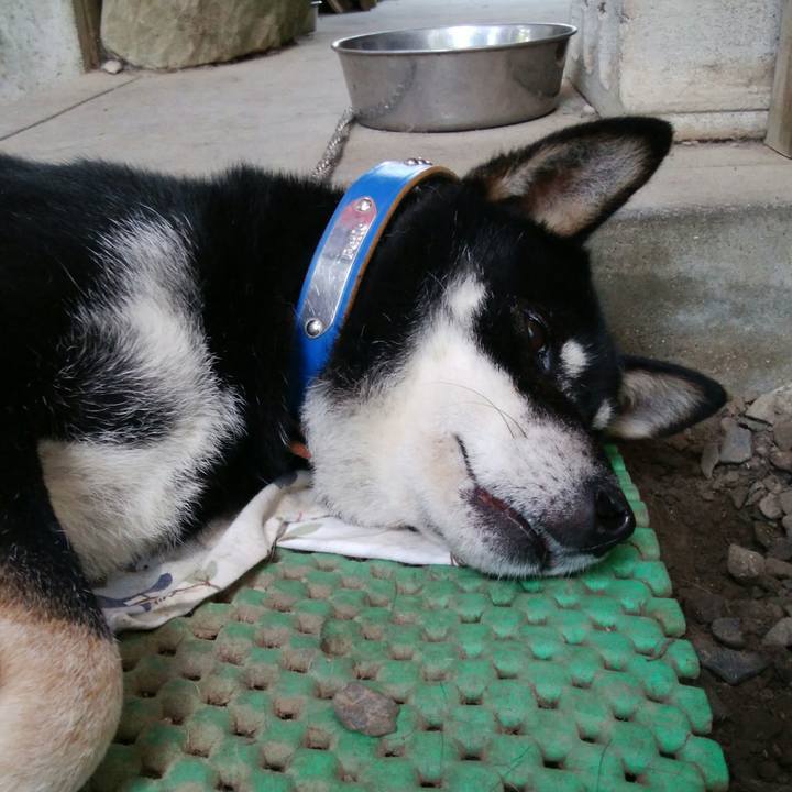 D17675e5 85c1 4995 835a 06ef46868409