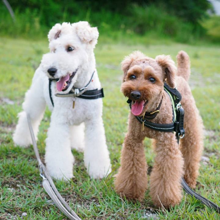 D1770125 0824 484b 9e9b ec1e7ee53de1