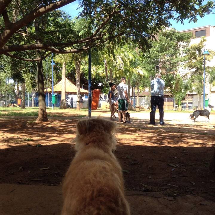 D17750c5 15ee 4ff7 a2d8 2d964467007d