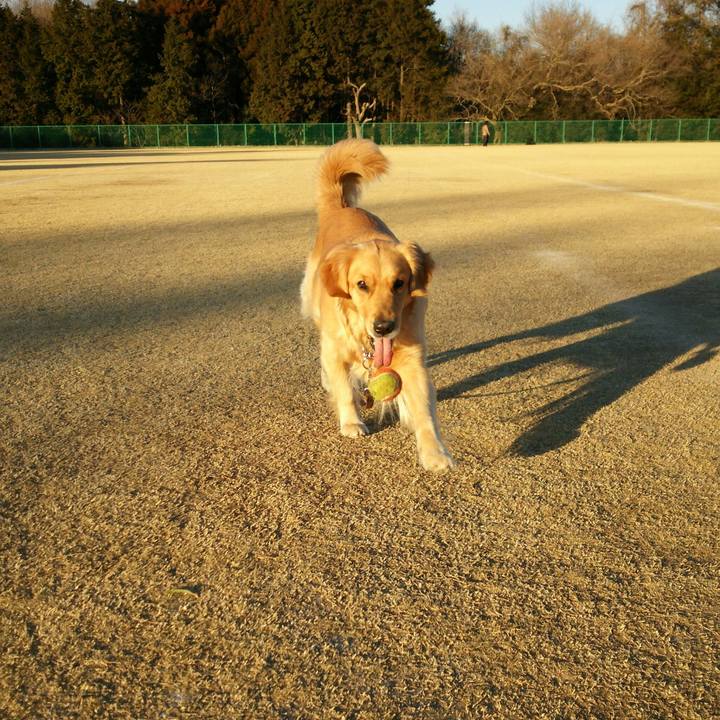 D177513b 68c8 4edf aa51 fc1105edf5cb