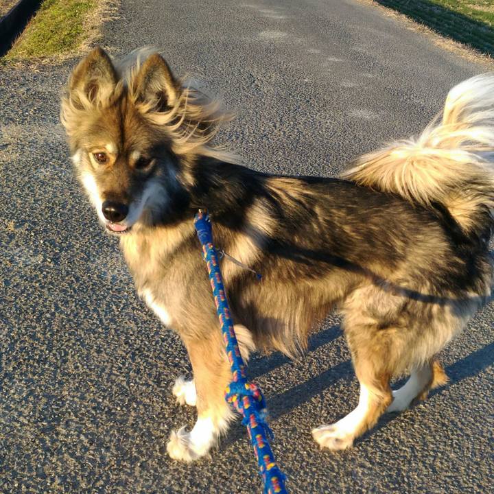 D1780e34 82f1 4628 9c85 0d1898c511ca