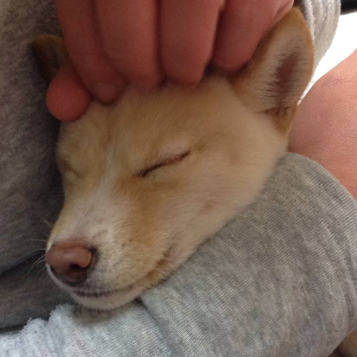 D178d52e f24d 4fc0 8d9b 1a75d95e120f