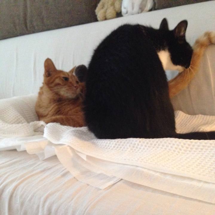 D1790ac6 71f7 4e00 8b3a ad9a444e24e9