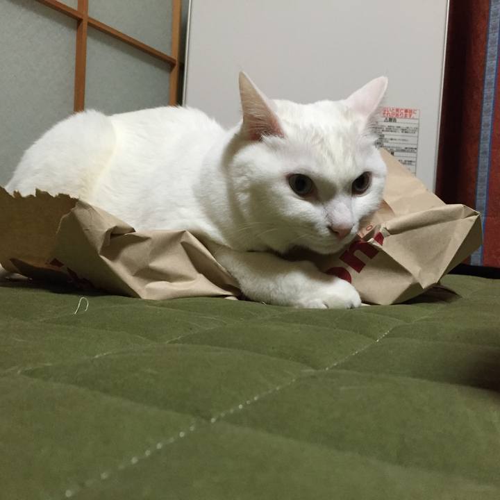 D17963ec 9b2c 464e a507 614c48ea36c4