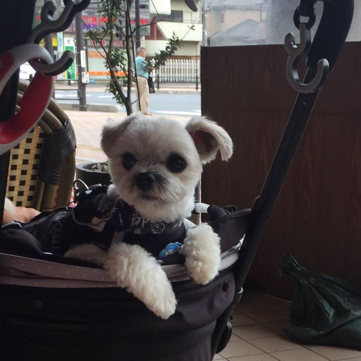 D1798292 c641 4b04 a3ba 4dae7239df07