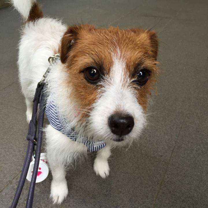 D179860e e30d 4945 8467 c2250bc270d4