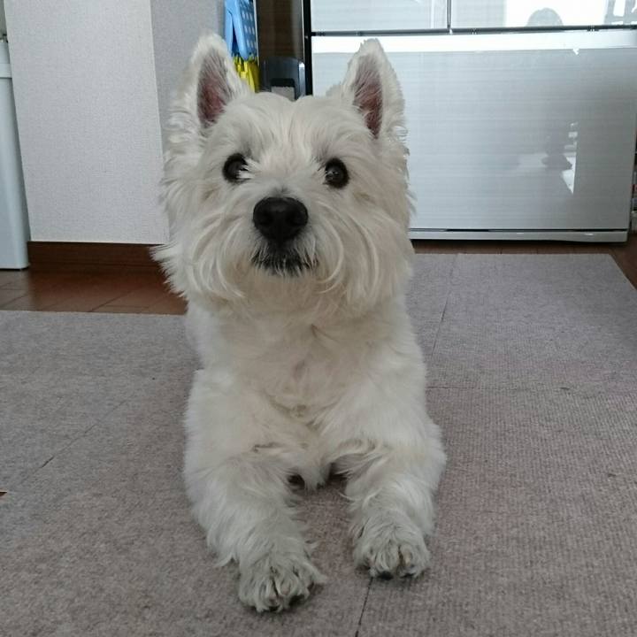 D179a1ed a119 4b47 a7eb c740343051d2