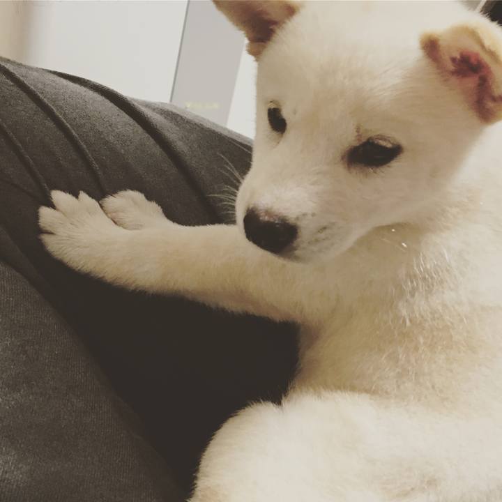 D17b374a ee86 4873 81e8 aca2bc615c8a