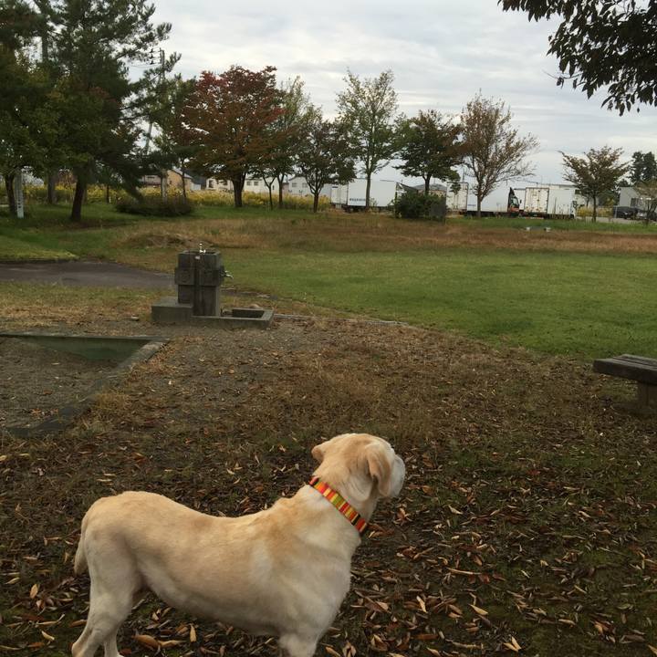 D17bcbae 9160 4e0f 99b3 22911ab56482