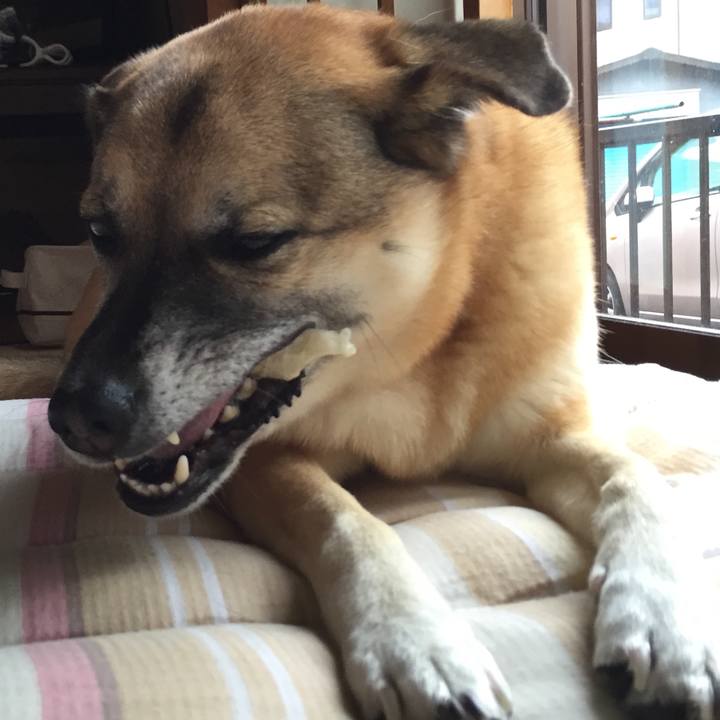 D17ccc24 ef97 4060 9f8b 14282953c19c