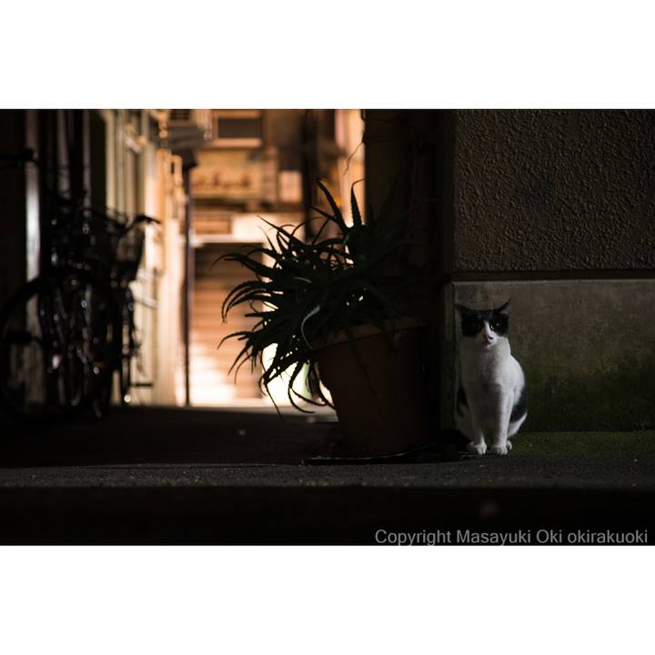 D17d1be7 7510 4e9e 9124 5ec3d637d2b9