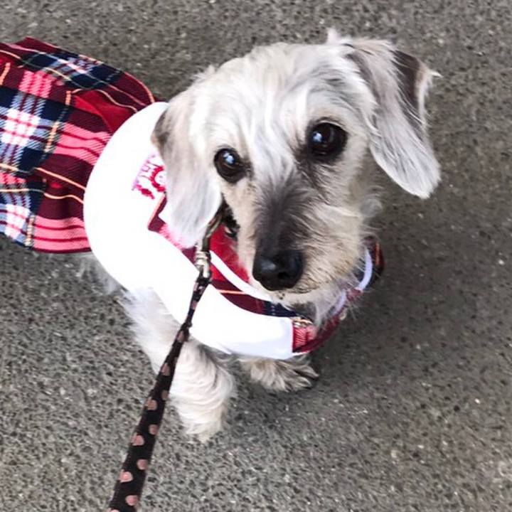 D17d3056 1a5d 4463 9d34 f7cb95062880