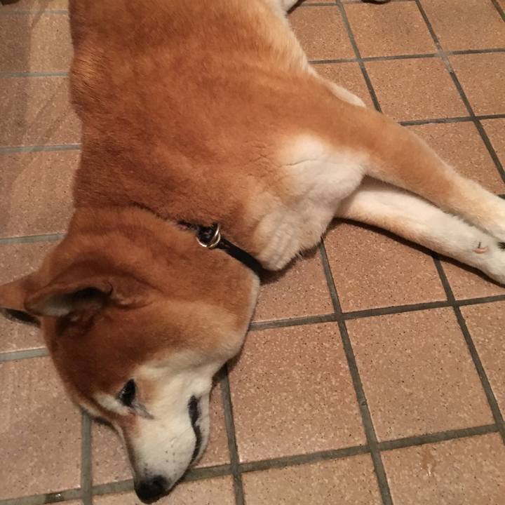 D17d6aa2 22b8 42f2 88e4 a1f64fa90cf4