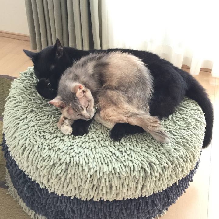 D17d8a90 e5ba 4778 8289 4184f383bc36