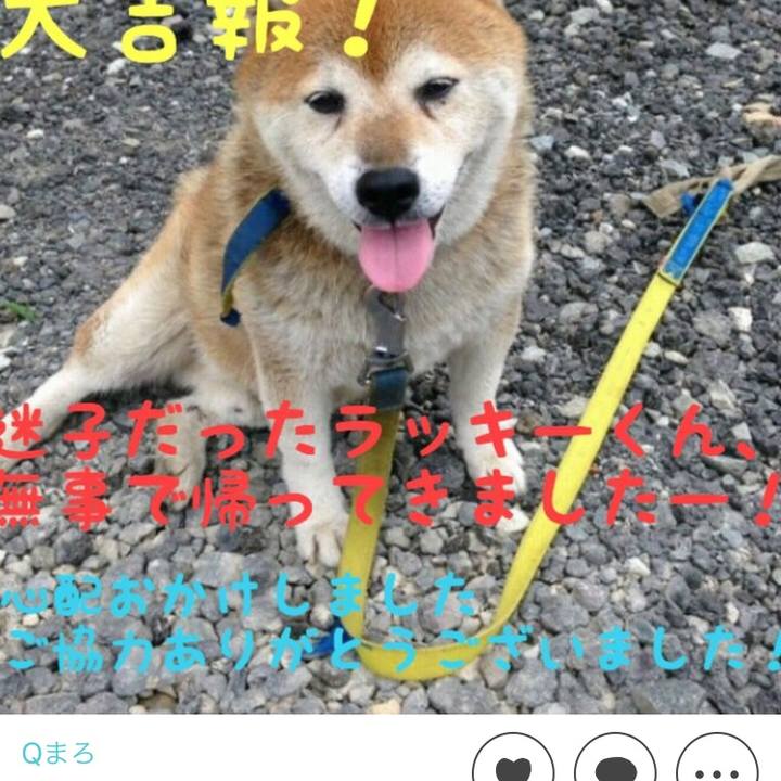 D17e2356 eb5d 4102 b47f aafdf1430677