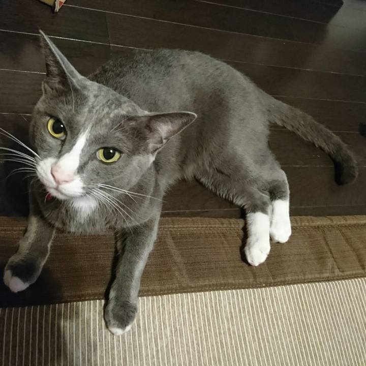 D17ec808 98ee 4bcb 9696 4720e87afc3d