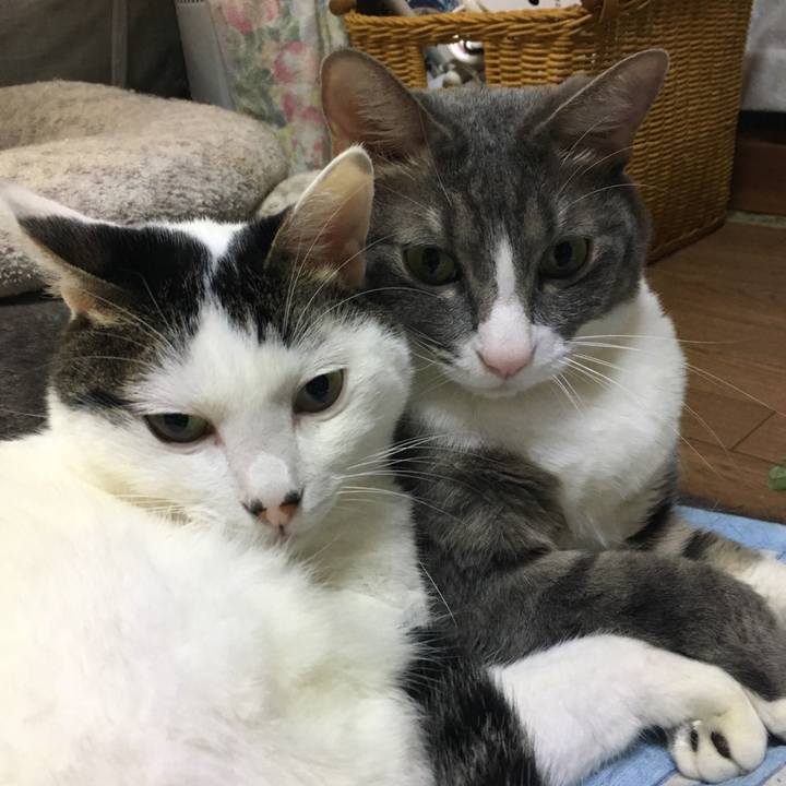 D17efc50 ef18 4792 86b9 d3218d758eb2