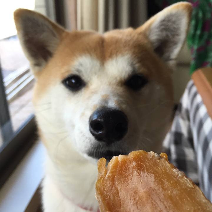 D17fd77e 27dc 4378 b549 f5af1715fe05