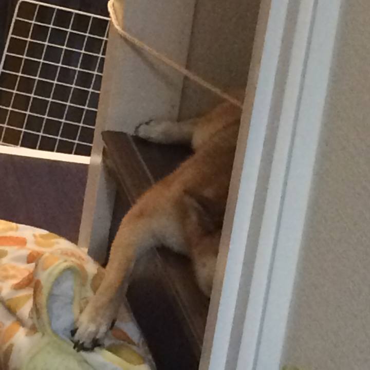 D1800e54 99df 4250 a70f 19cbcd37aebd