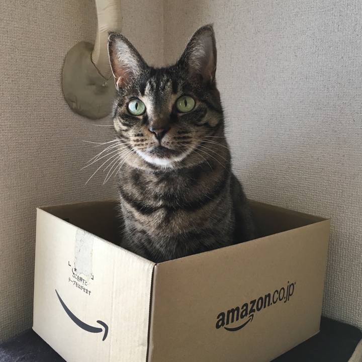 D1802536 1b26 44ab 94bd 61eb09a5f71d