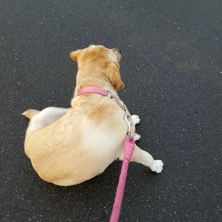 D1804f60 f2ba 4ab7 85ff f81640e00eb7