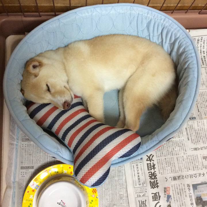 D1806db1 25c5 4c01 9bab 2d29950e195d