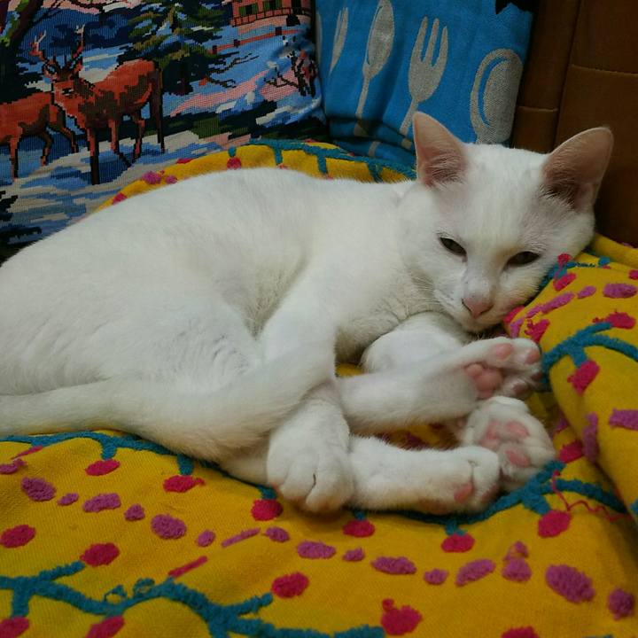 D1808ce9 d32d 416c ab10 e99a6570fbf2