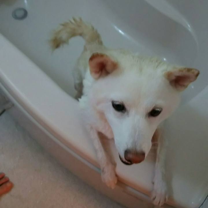 D1819fe2 80c3 4386 81ac 9f3c0bca2a18