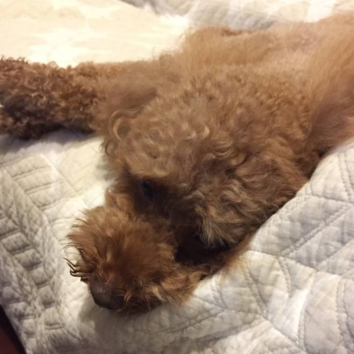 D181b41f c25a 49b5 ab7a 257cfe8a08a7